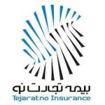 بیمه تجارت نو